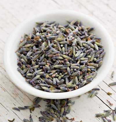 culinary lavender