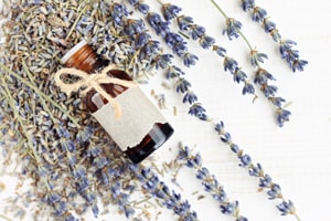 How to preserve your dried lavender 