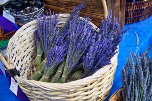 Dried Lavender for Sale,Bulk Lavender, Dried Lavender Bunches