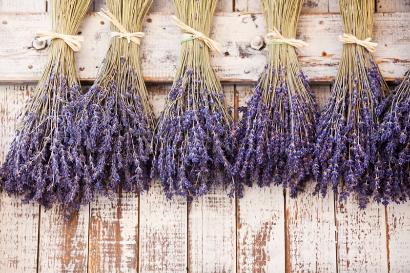 https://driedlavender.net/wp-content/uploads/2018/08/preserve-dried-lavender.jpg