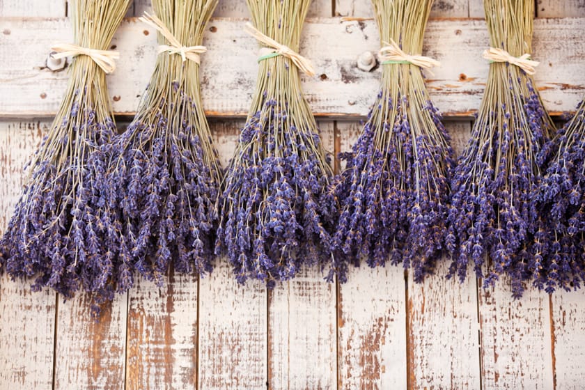 Dried French Lavender Bunch, Dried Grosso Lavendar bunches & stems