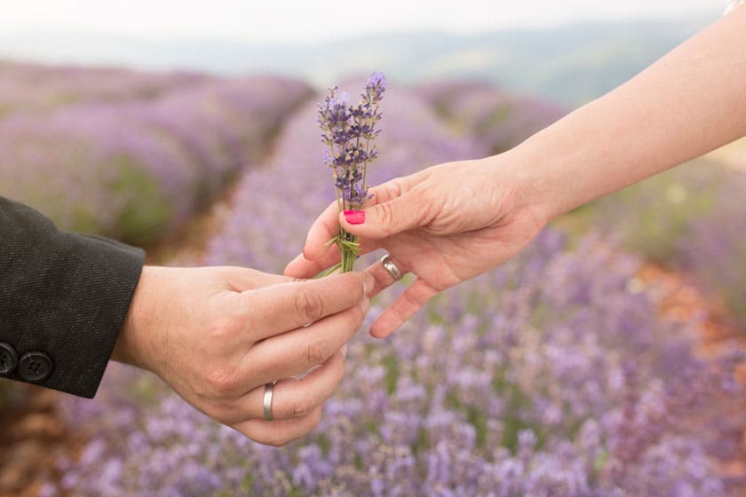 How to Dry Lavender and Ideas for Use