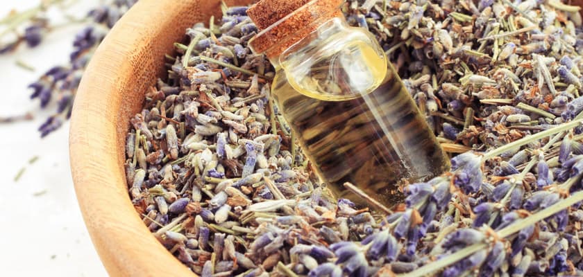 7 Awesome Ways to Use Dried Lavender Bunches  NZ Lavender Farm – Lavender  Backyard Garden®