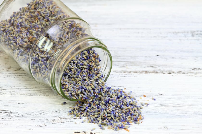 dried bulk lavender buds