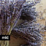 dried-lavender-bundles