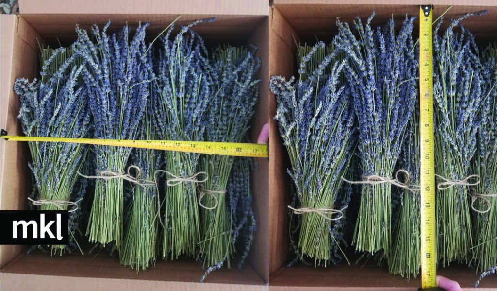 how many stems are in a lavender bundle