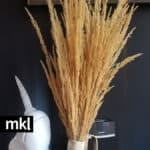dried grasses for weddings