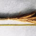 feather reed grass for sale