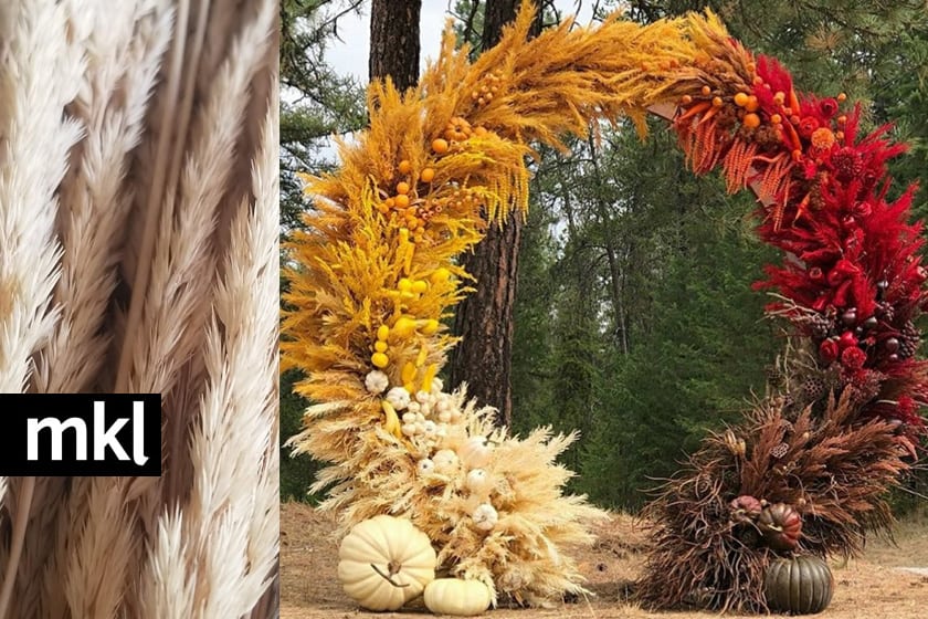 dried grasses for wedding arch