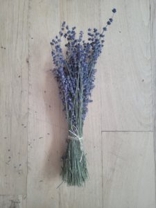 munstead dried lavender bundle