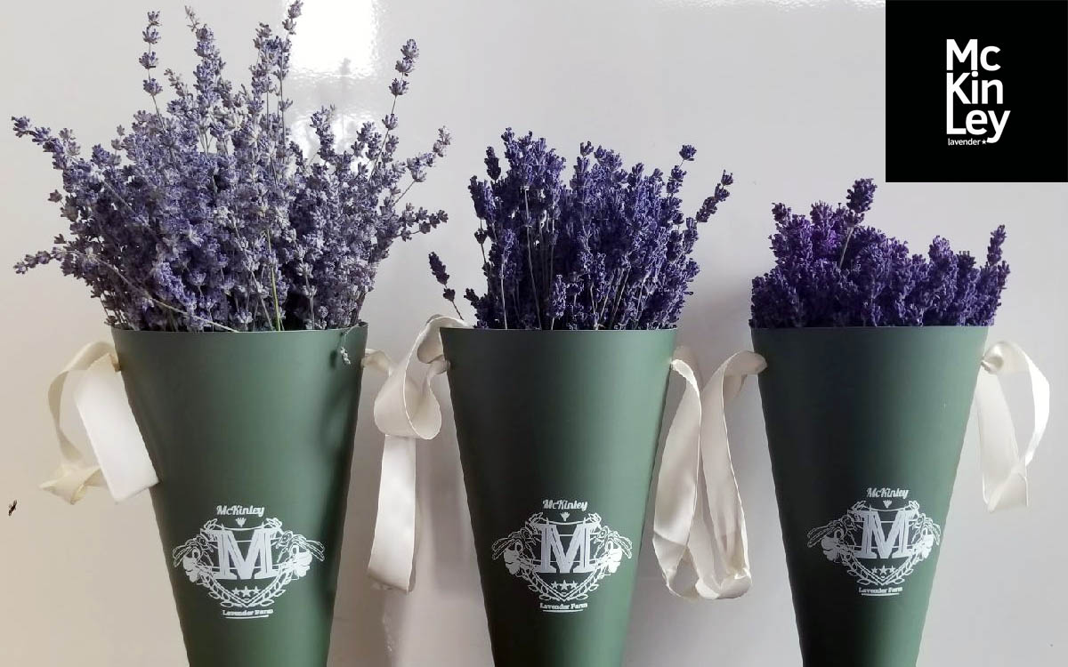 how to preserve dried lavender bundles