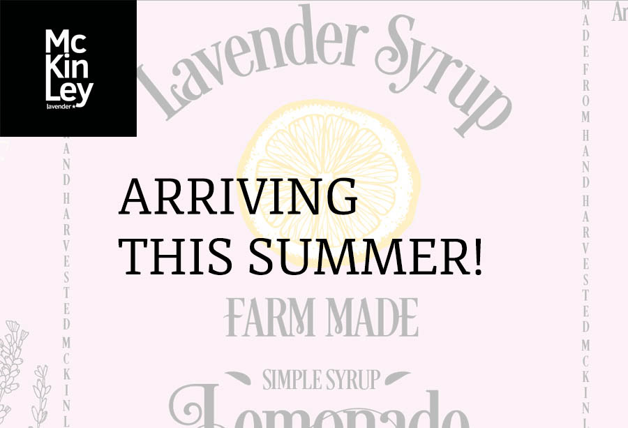 original farm made lavender syrup lemonade summer